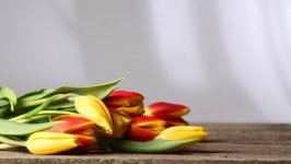 Desktop image. Flowers. ID:135597