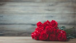 Desktop image. Flowers. ID:135836