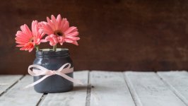 Desktop image. Flowers. ID:138398