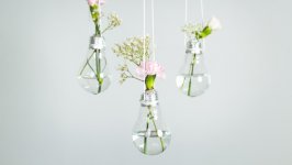 Desktop image. Flowers. ID:139238