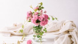 Desktop image. Flowers. ID:139239