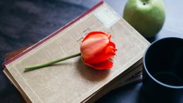 Desktop image. Flowers. ID:140667