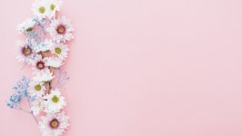 Desktop image. Flowers. ID:141284