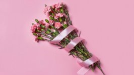 Desktop image. Flowers. ID:145861