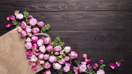 Desktop image. Flowers. ID:146010