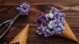 Desktop image. Flowers. ID:147141