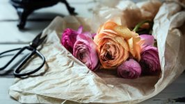 Desktop image. Flowers. ID:148369