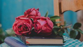 Desktop image. Flowers. ID:149140