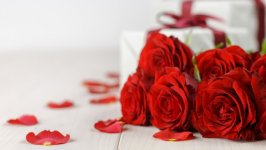 Desktop image. Flowers. ID:151301