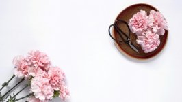 Desktop image. Flowers. ID:152474