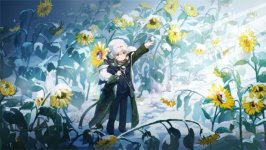 Desktop wallpaper. Avgust