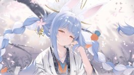 Desktop wallpaper. Usada Pekora