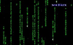 Desktop wallpaper. Matrix, The. ID:5566