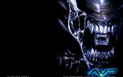 Desktop wallpaper. Alien vs. Predator. ID:3590