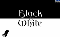 Desktop image. Black & White. ID:10361