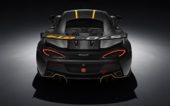 Desktop wallpaper. McLaren 570S GT4 2016. ID:78047