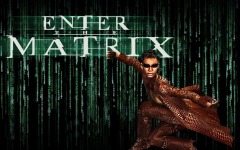 Desktop wallpaper. Enter the Matrix. ID:10755