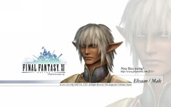 Desktop wallpaper. Final Fantasy 11. ID:10834