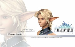 Desktop wallpaper. Final Fantasy 11. ID:10836