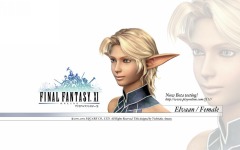 Desktop wallpaper. Final Fantasy 11. ID:10838