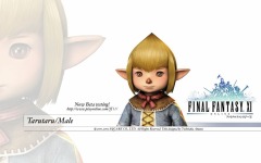 Desktop wallpaper. Final Fantasy 11. ID:10839