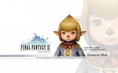 Desktop image. Final Fantasy 11. ID:10840