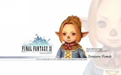 Desktop image. Final Fantasy 11. ID:10842