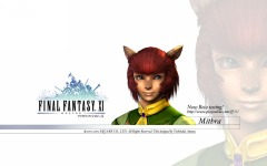 Desktop image. Final Fantasy 11. ID:10846