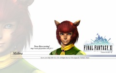 Desktop image. Final Fantasy 11. ID:10847
