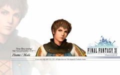 Desktop image. Final Fantasy 11. ID:10850