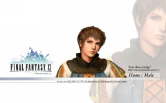 Desktop image. Final Fantasy 11. ID:10851