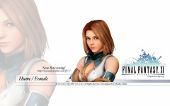 Desktop image. Final Fantasy 11. ID:10852
