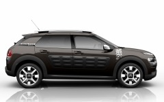 Desktop image. Citroën C4 Cactus Rip Curl Special Edition 2016. ID:80957