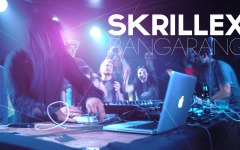 Desktop image. Skrillex. ID:85922