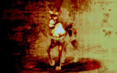 Desktop image. Silent Hill 3. ID:11695