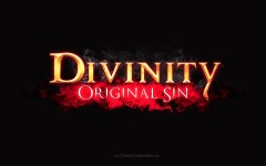 Desktop image. Divinity: Original Sin. ID:88022
