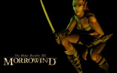 Desktop wallpaper. Elder Scrolls 3: Morrowind, The. ID:11814