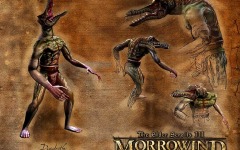 Desktop image. Elder Scrolls 3: Morrowind, The. ID:11822