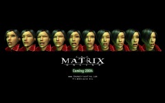 Desktop wallpaper. Matrix Online, The. ID:11862