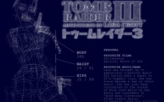 Desktop wallpaper. Tomb Raider 3: Adventures of Lara Croft. ID:11956