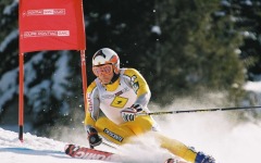 Desktop image. Winter Sports. ID:20061
