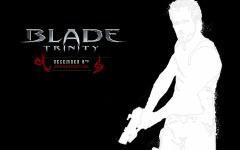 Desktop wallpaper. Blade: Trinity. ID:13281