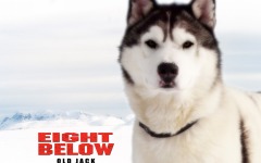 Desktop wallpaper. Eight Below. ID:13404