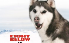 Desktop wallpaper. Eight Below. ID:13408