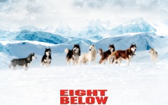 Desktop wallpaper. Eight Below. ID:13410