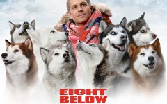 Desktop wallpaper. Eight Below. ID:13412