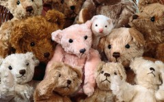 Desktop image. Animals. ID:34596