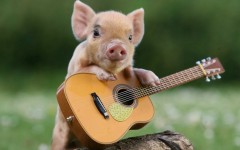 Desktop image. Animals. ID:51172