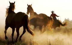 Desktop image. Animals. ID:34819