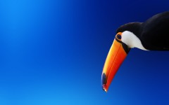 Desktop image. Animals. ID:34831